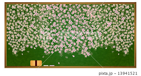 桜 黒板 フレームのイラスト素材