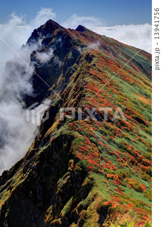 一ノ倉岳から見る雲湧く紅葉の谷川岳 13941756