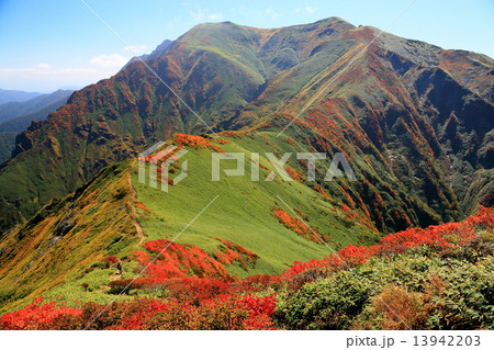武能岳から見る谷川岳・一ノ倉岳・茂倉岳の稜線 13942203