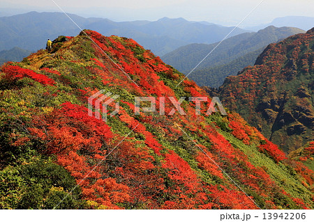谷川連峰・武能岳稜線を行く登山者 13942206