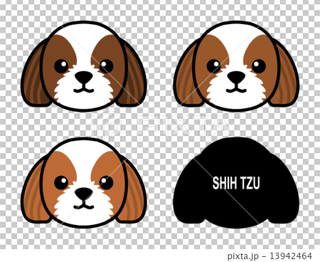 Shih Tzu 1 Shih Tzu 1 13942464