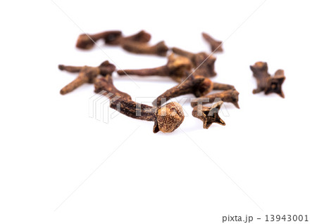 Cloves isolated on white background Cloves isolated on white background 13943001