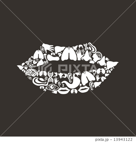 Mouth body 13943122