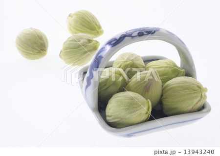 ふきのとう、食べ物、山菜、春 13943240