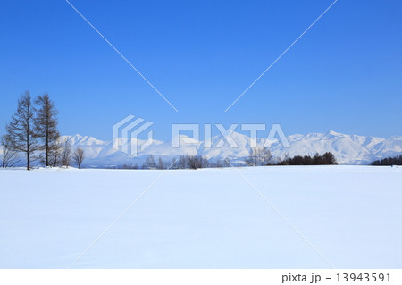 雪原と雪の山々 13943591