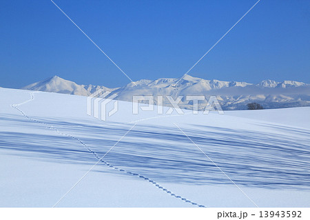 青い影と雪の山 13943592