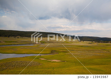 Hayden Valley - landscape of American Bison Hayden Valley - landscape of American Bison 13943987