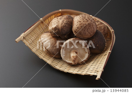 生椎茸　椎茸 13944085