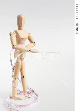 デッサン人形とメジャー デッサン人形とメジャー 13944314