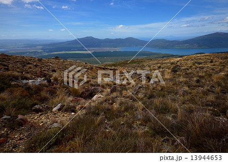 トンガリロ トンガリロ 13944653