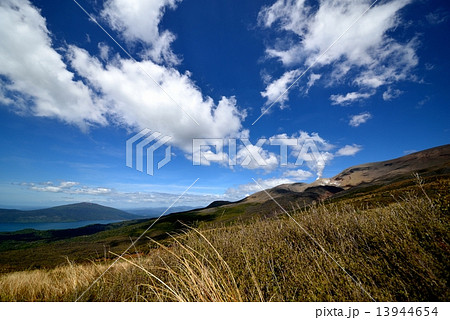 トンガリロ 13944654