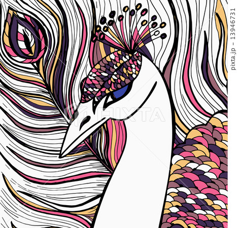 Decorative ornamental peacock 13946731
