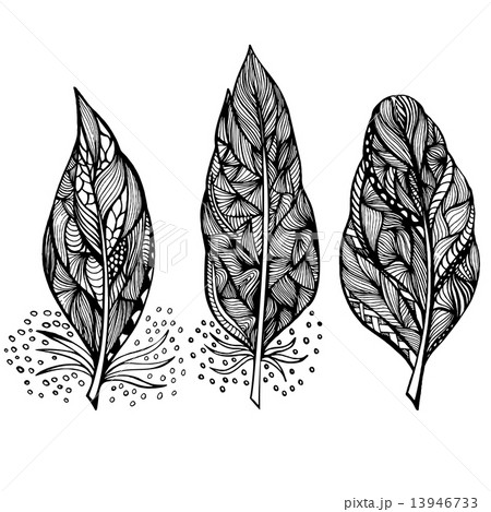 Decorative feathers 13946733