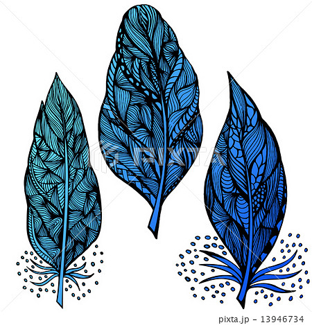 Decorative feathers 13946734