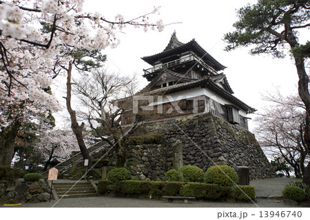 丸岡城 丸岡城 13946740