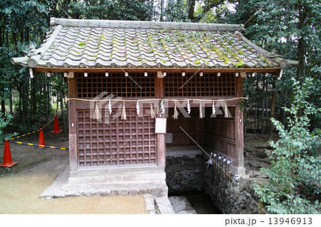 宇治上神社・桐原水 13946913