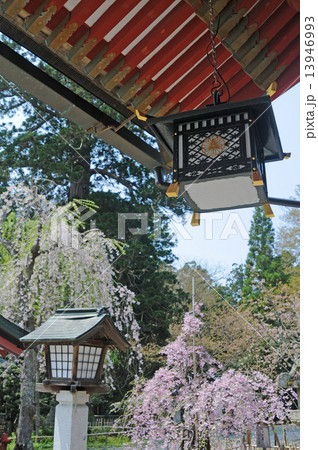 塩竈神社 塩竈神社 13946993