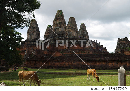カンボジア シェムリアップ アンコールワット ベンメリア カンボジア シェムリアップ アンコールワット ベンメリア 13947299