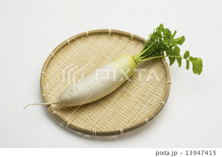 大根 大根 13947415