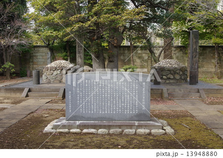 徳川慶喜の墓／谷中霊園（東京都台東区） 13948880