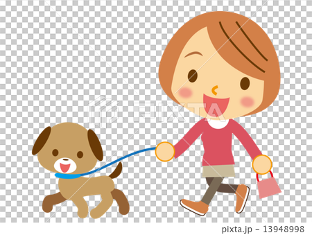 お散歩　ワンちゃんとお姉さん 13948998