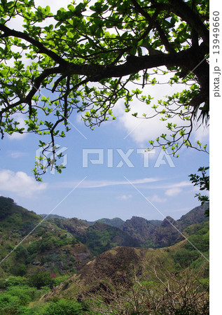 中山峠からの風景（父島） 13949660