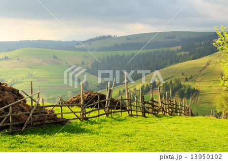 Spring landscape in the Carpathian mountains with fence 13950102