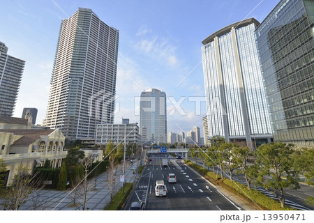 豊洲の晴海通りとオフィスビル 13950471