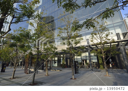 豊洲キュービックガーデン 13950472