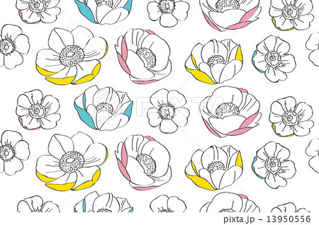 Anemone Flower Patternのイラスト素材