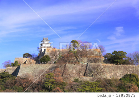 12月香川 丸亀城・石垣全景 13950975