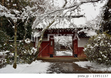 雪の京都常照寺 13951137