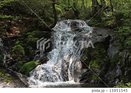 岐阜県　宇津江四十八滝　布晒滝 13951545