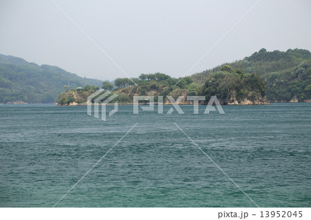 愛媛能島 愛媛能島 13952045