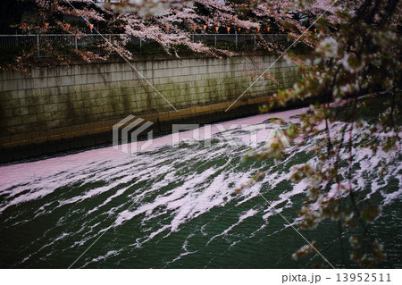 桜墨流し 13952511