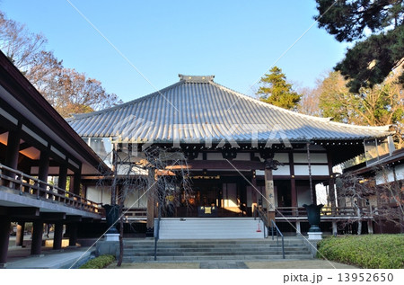 杉並区にある堀之内妙法寺の本堂（三軌堂） 13952650