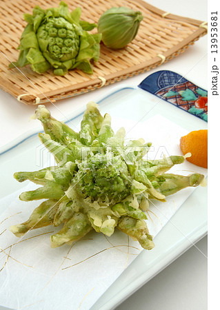 ふきのとう 天ぷら 山菜の写真素材