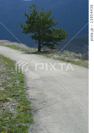 A tree stand alone 13954436