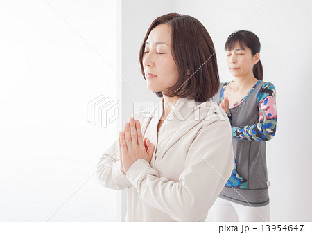 ヨガをするミドル女性二人 13954647