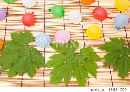 水風船とゴーヤの葉っぱ 水風船とゴーヤの葉っぱ 13954709