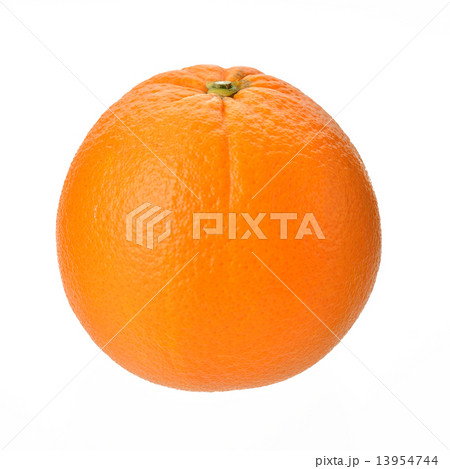 国産のネーブルオレンジ。注意）詳細な品種名は不明。 13954744