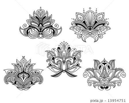 Vintage black outline paisley flowers 13954751