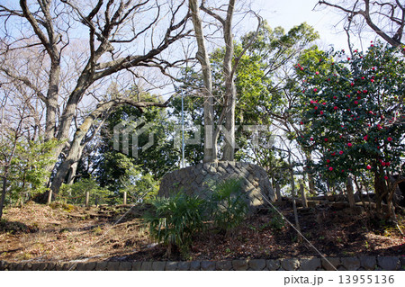 世田谷城址公園 13955136