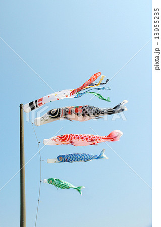 青空で泳ぐ鯉のぼり 青空で泳ぐ鯉のぼり 13955235