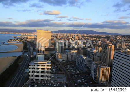 福岡タワーからの眺め 13955592