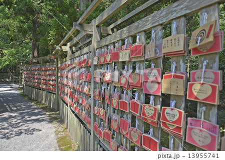 能登一宮気多大社 能登一宮気多大社 13955741