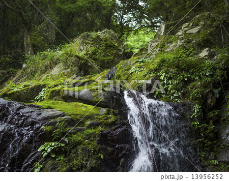 川と滝 13956252