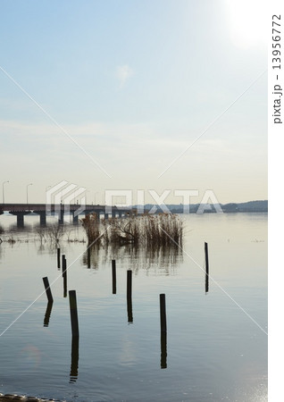 霞ヶ浦大橋・棒杭(茨城県行方市玉造甲) 霞ヶ浦大橋・棒杭(茨城県行方市玉造甲) 13956772