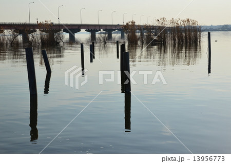 霞ヶ浦大橋・棒杭(茨城県行方市玉造甲) 霞ヶ浦大橋・棒杭(茨城県行方市玉造甲) 13956773