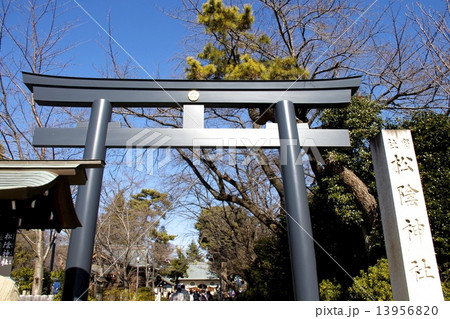 松陰神社 13956820